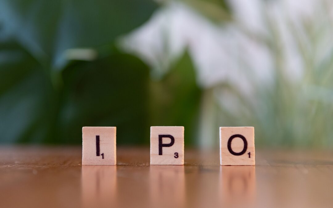 Beyond the IPO Hype: Staying Grounded as Investors